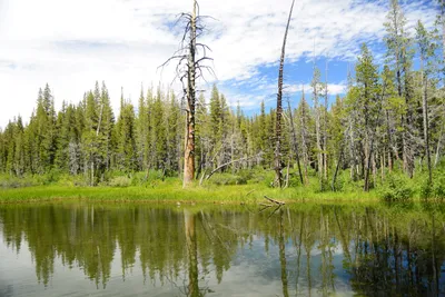 DSC_0018 (Large).JPG